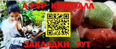 прущие грибы Малгобек