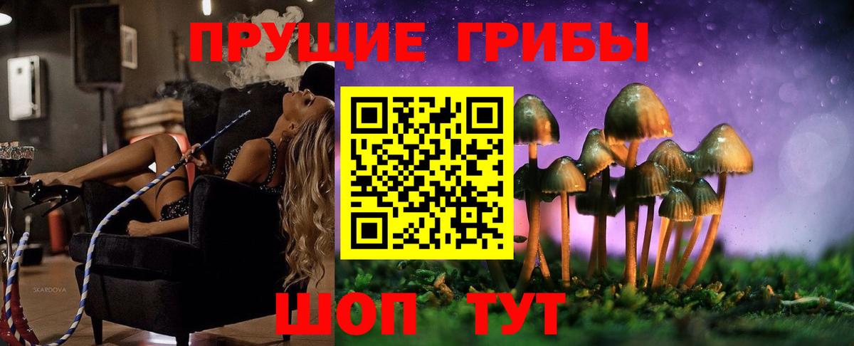 Дагестанские Огни  Галлюциногенные грибы Cubensis  Вход с VPN 